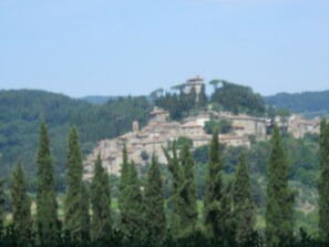 Un bâtiment historique doté d’une tour imposante, entouré d’une végétation luxuriante et d’arbres.