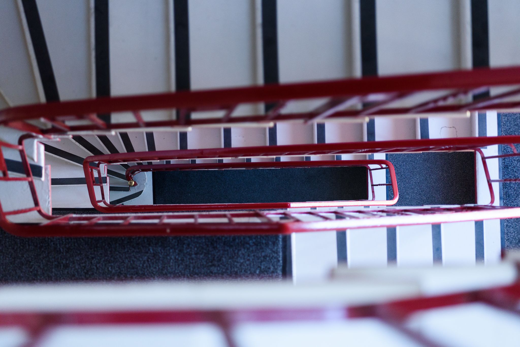 Foto - Les Z'hirondelles