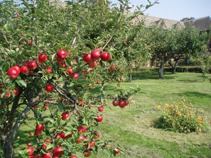 Property grounds - The Mirfield Monastery (Mirfield)