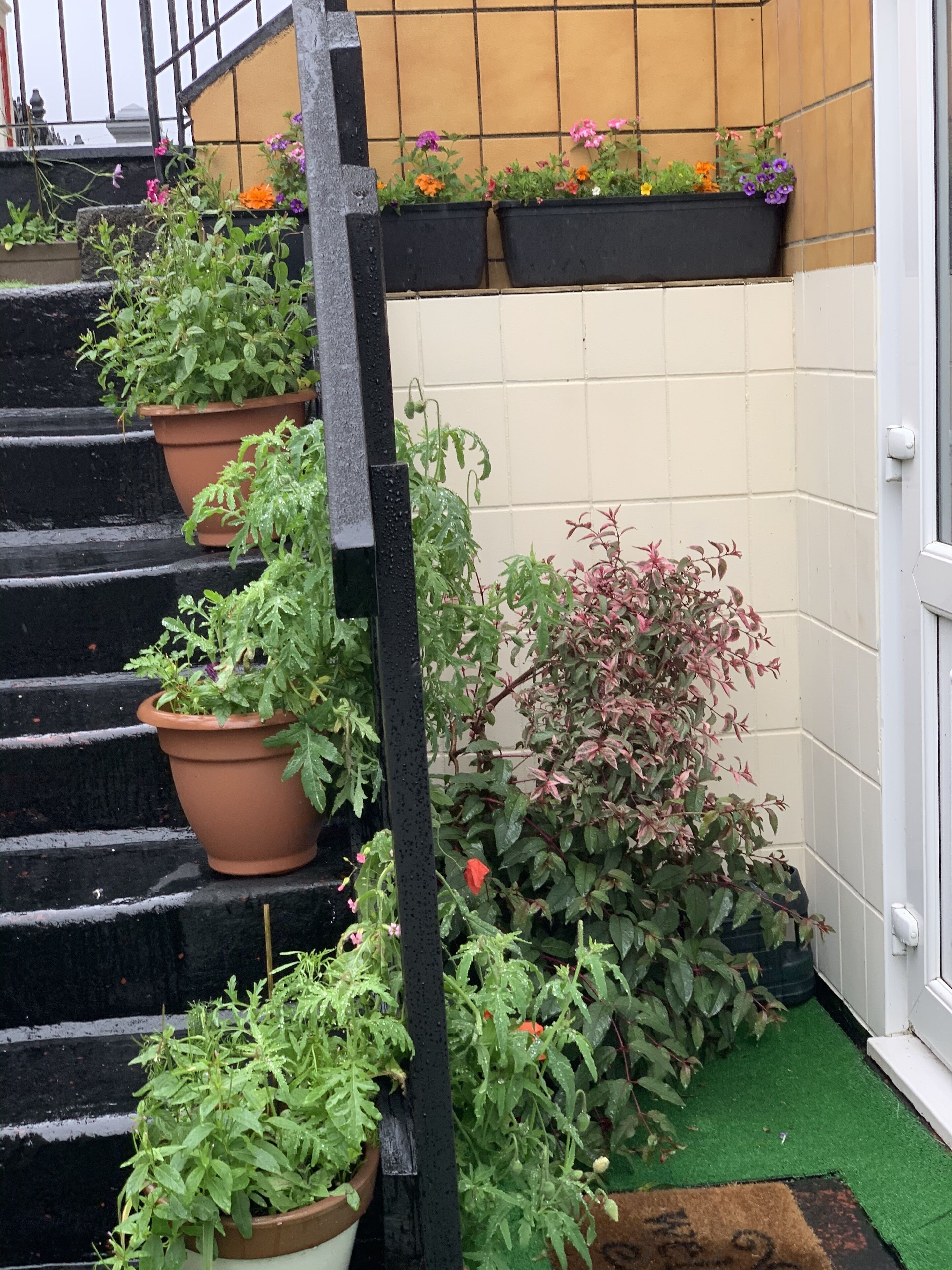 Foto - Alondra Hotel