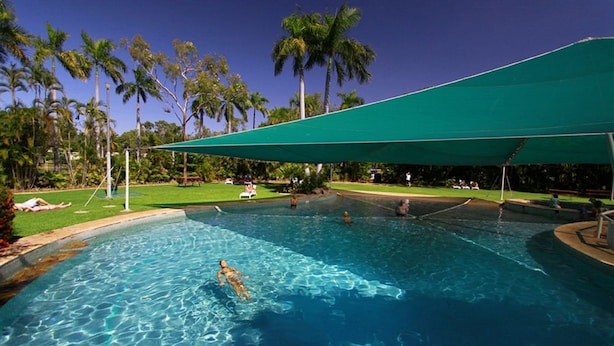 Una piscina con agua cristalina azul, rodeada de palmeras y un dosel verde.