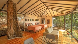 The Terraces | 高級寝具、羽毛の掛け布団、ミニバー、セーフティボックス (室内)
