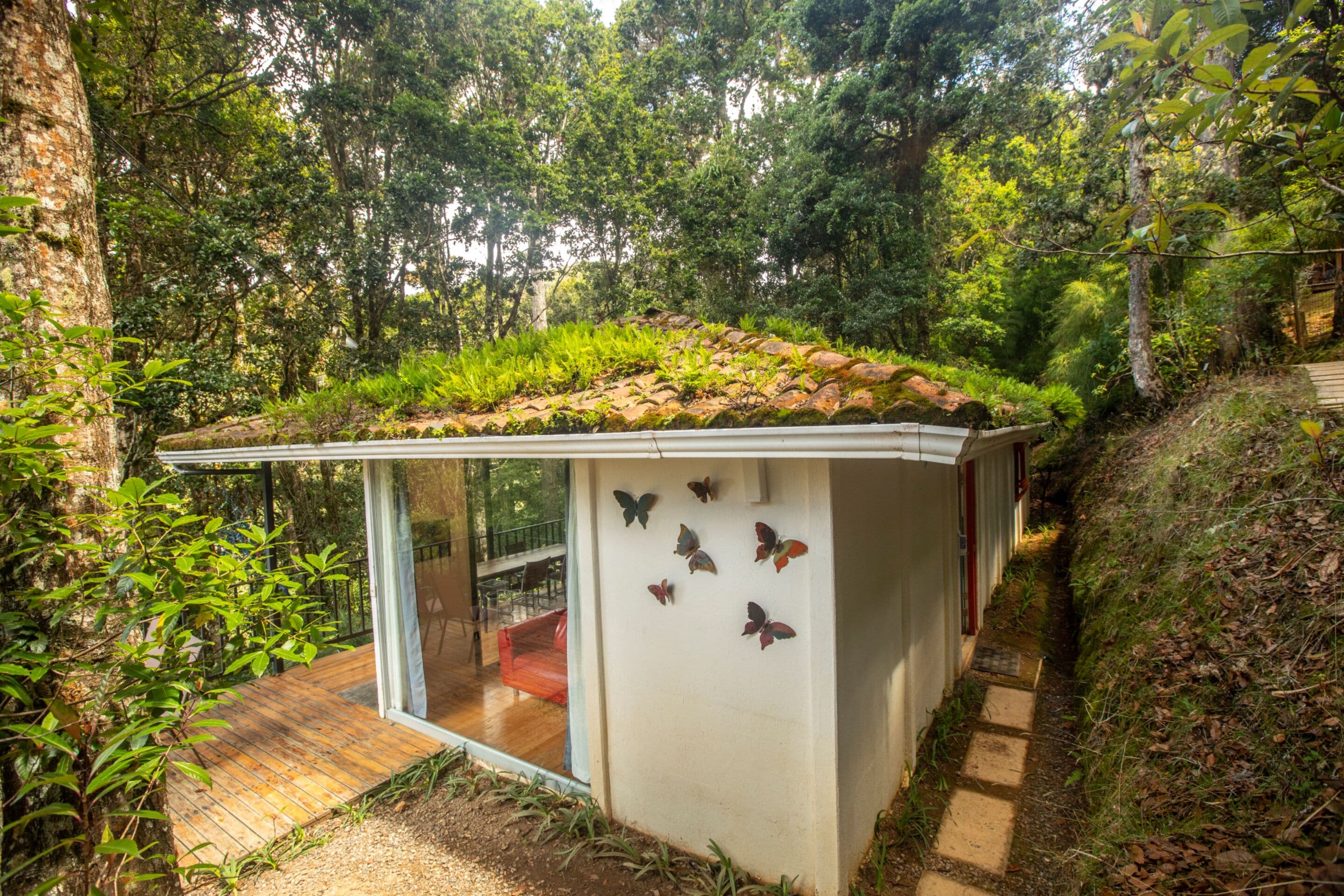 double room single use | premium bedding, down duvets, minibar, in-room safe