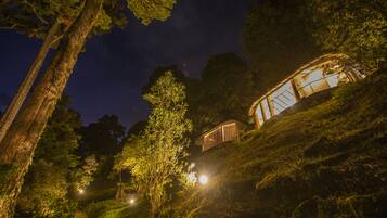 2-person Superior Bungalow Forest | Vista desde la habitación