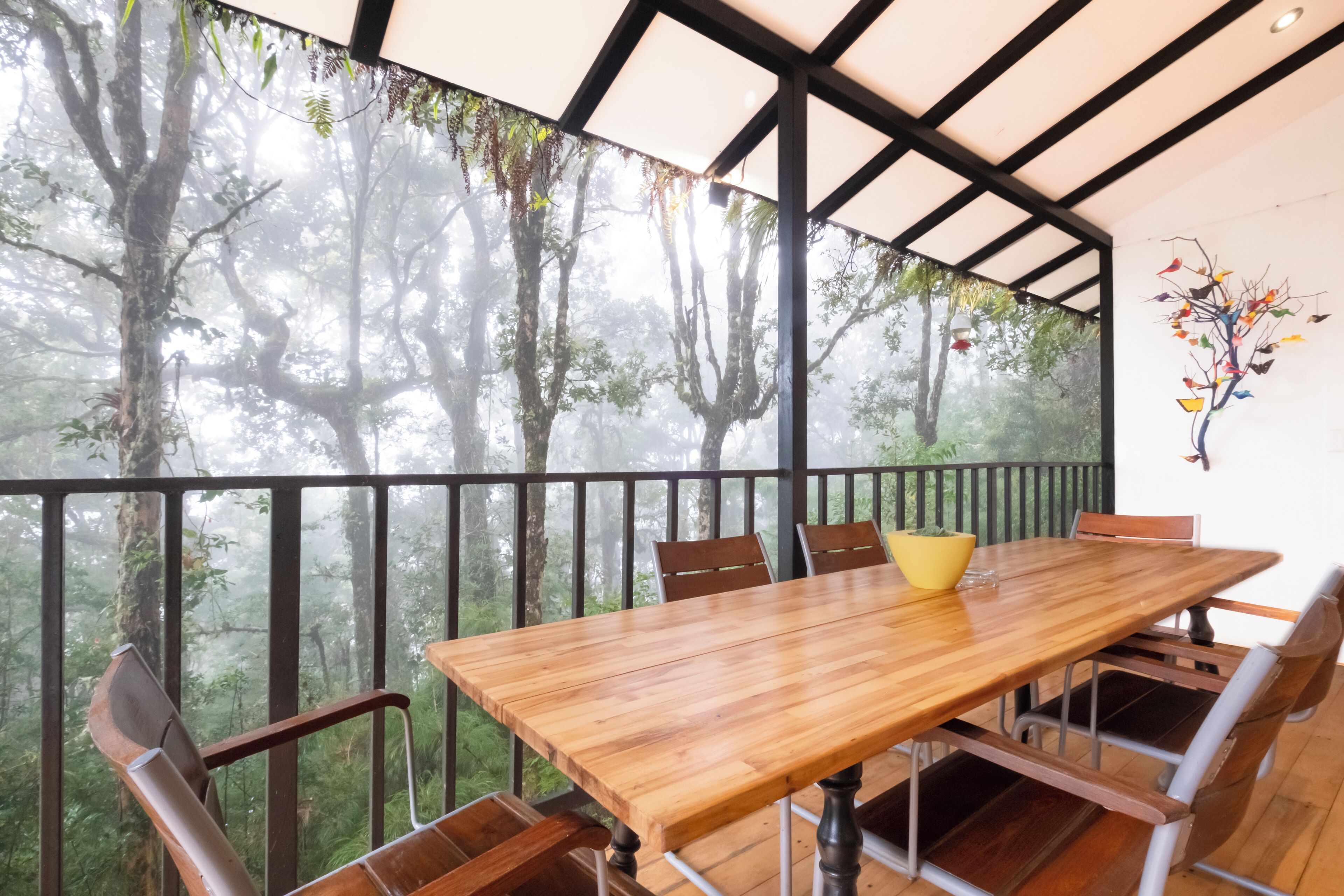 Foto - Dantica Cloud Forest Lodge