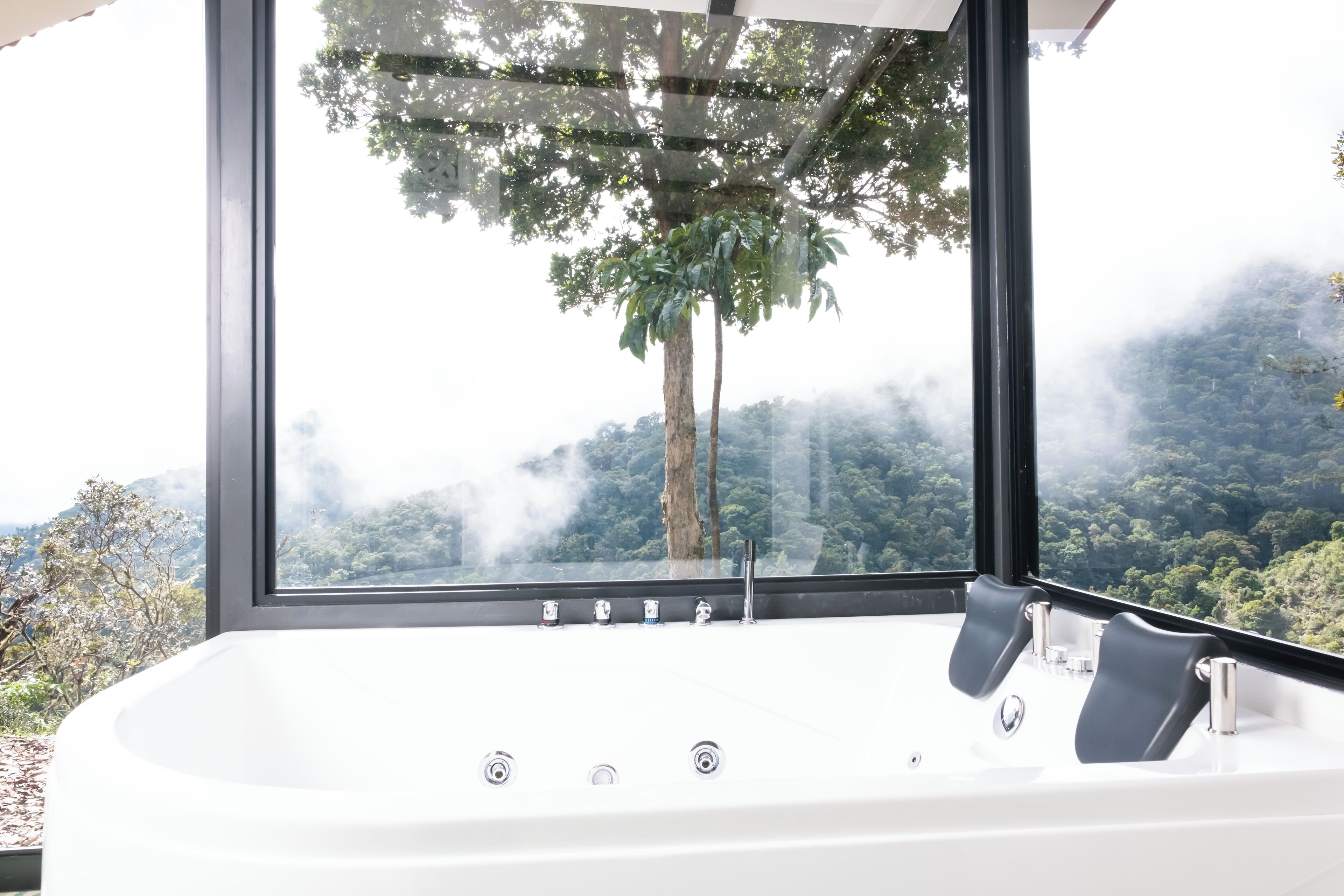 Foto - Dantica Cloud Forest Lodge