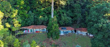 Ropa de cama de alta calidad, cubrecamas y minibar