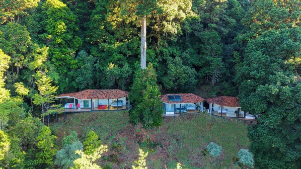 A forested area with two modern, detached houses with tiled roofs, surrounded by dense trees. - Dantica Cloud Forest Lodge (Copey)