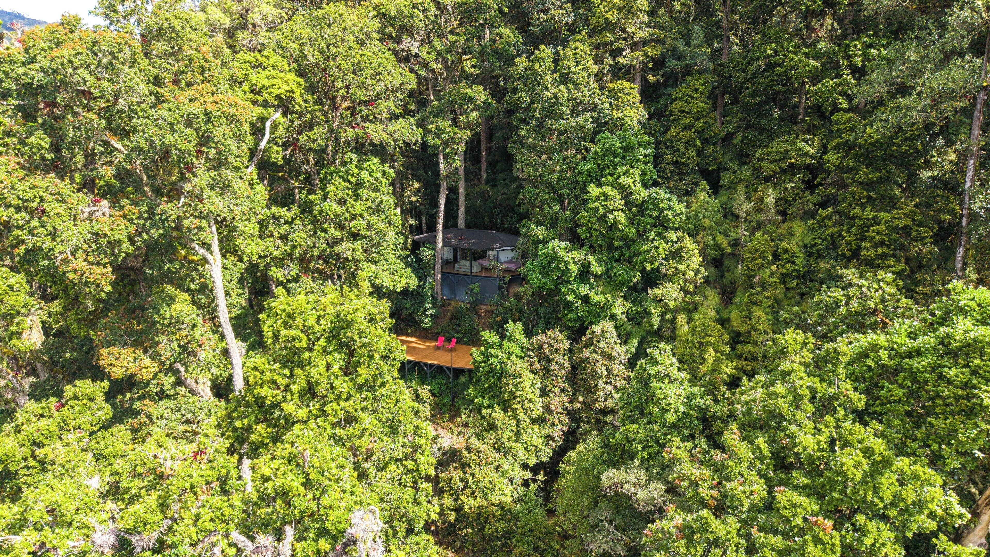 Foto - Dantica Cloud Forest Lodge