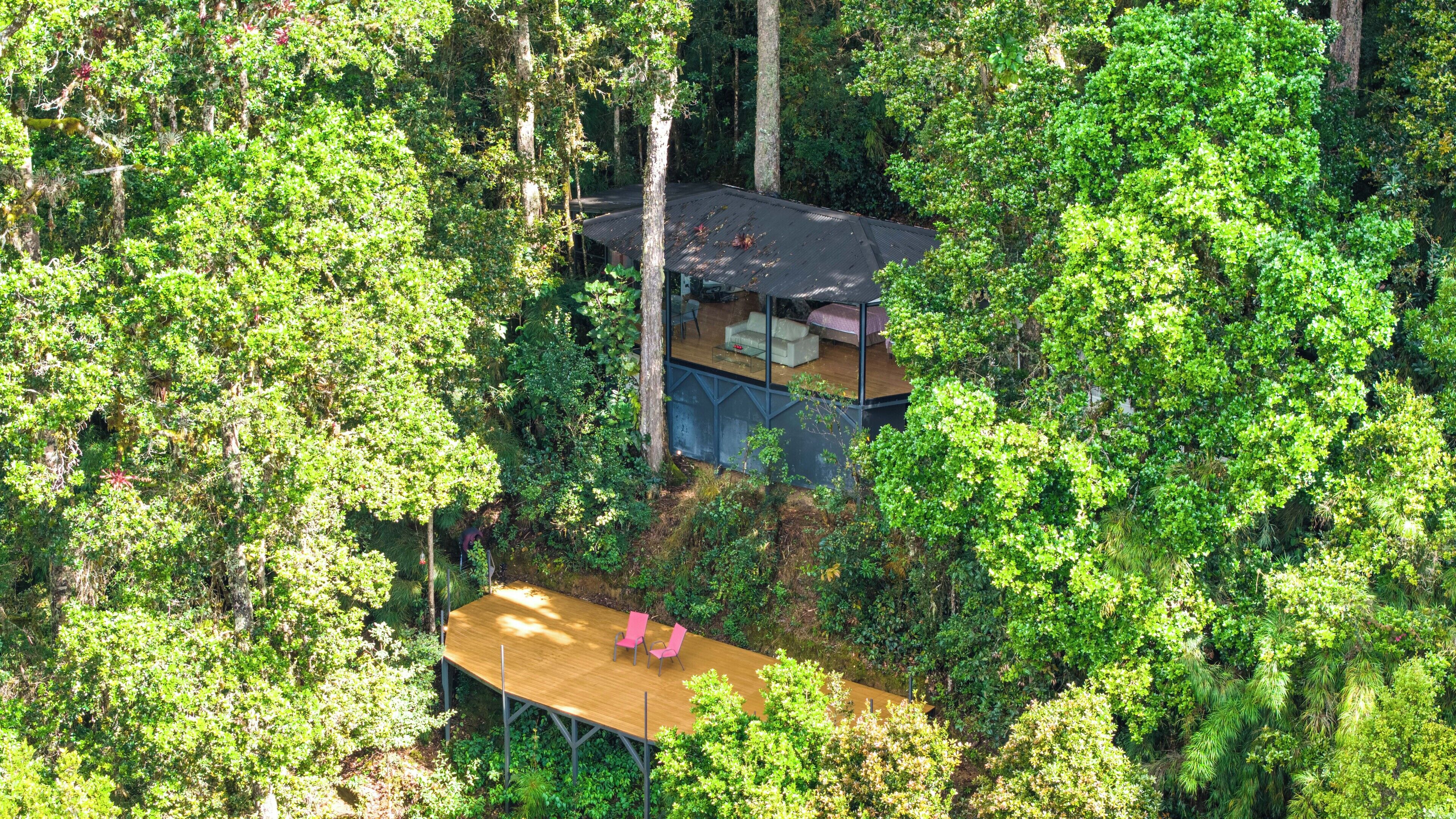 Foto - Dantica Cloud Forest Lodge