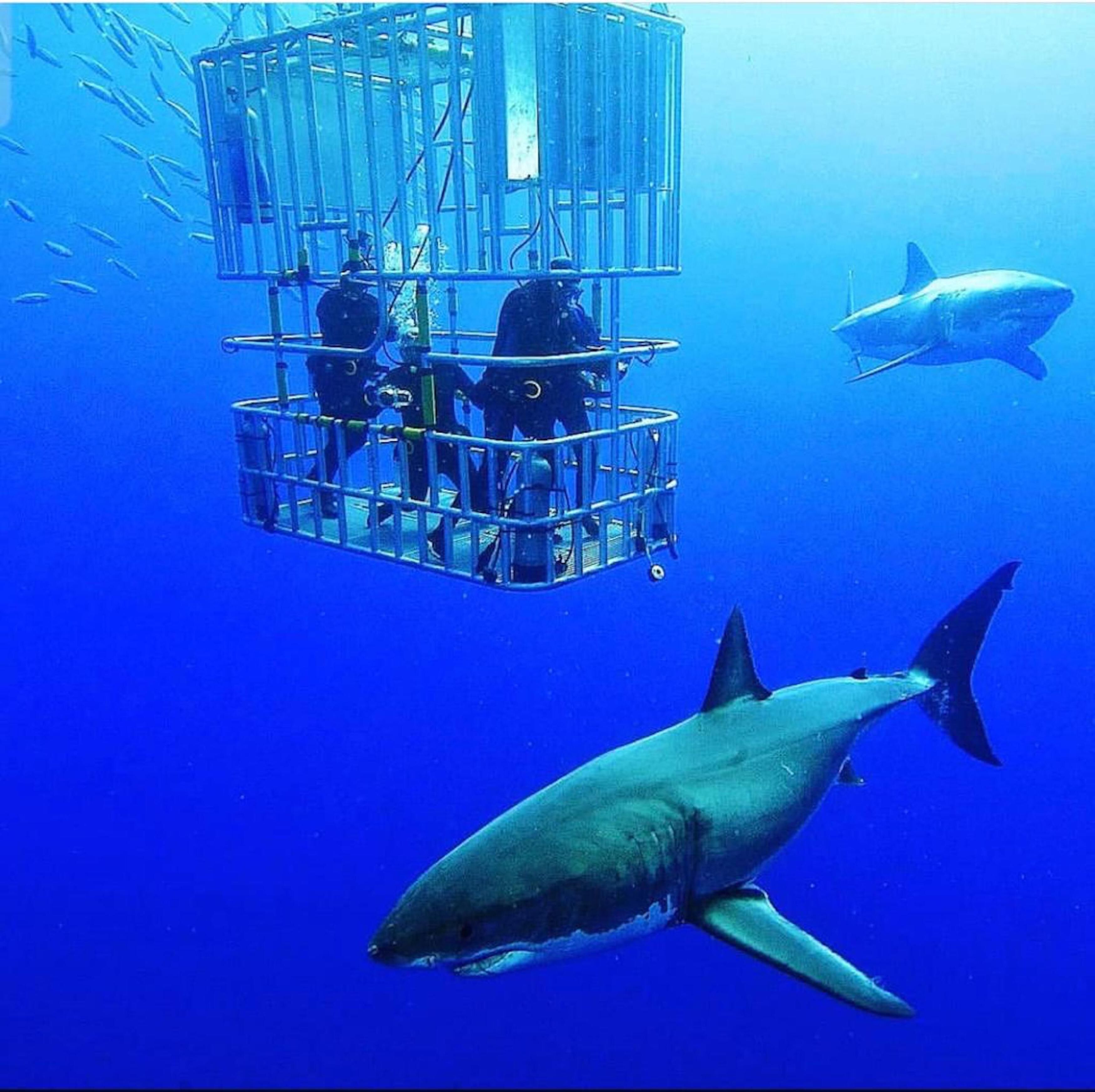 Foto - Atlanticview Cape Town Boutique Hotel