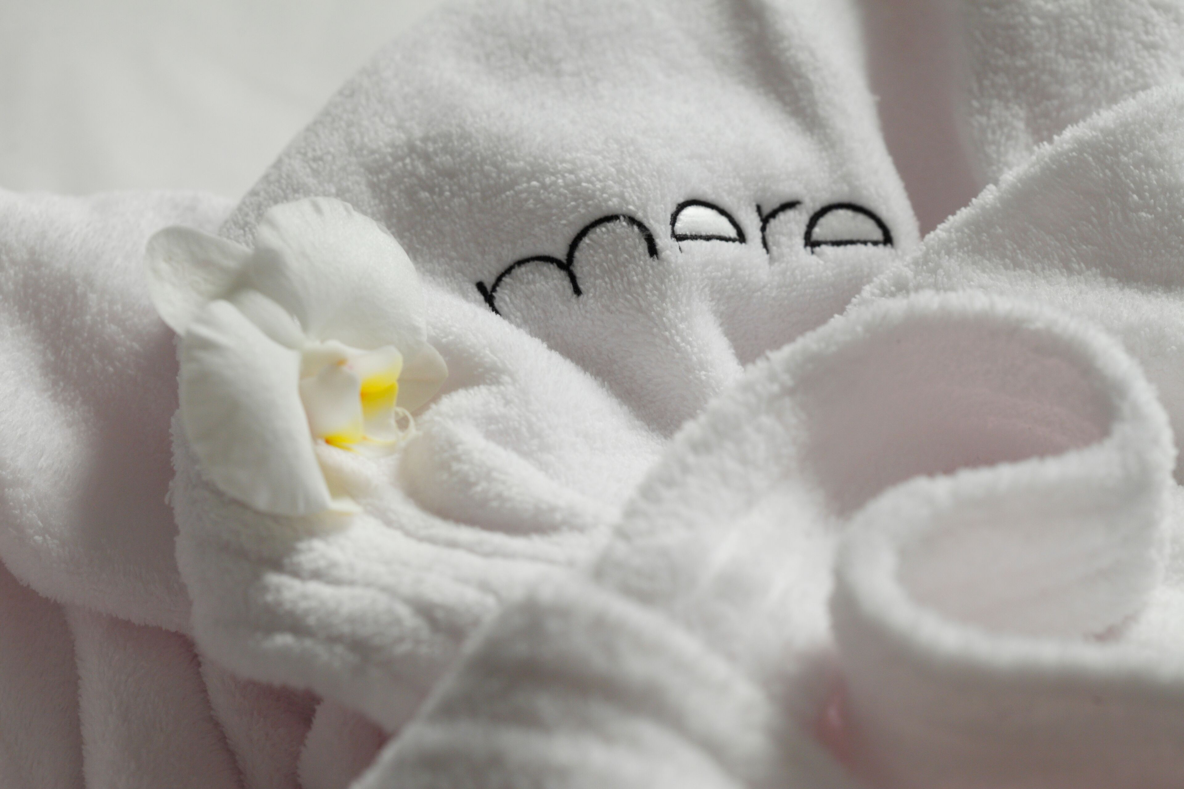 room, 2 queen beds, river view (upper floor) | premium bedding, pillow-top beds, minibar, in-room safe