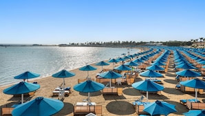 A beach with rows of blue umbrellas and lounge chairs, a clear sky, and a calm sea.
