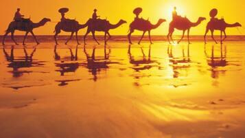 A silhouette of camels with riders against a sunset on a reflective surface.
