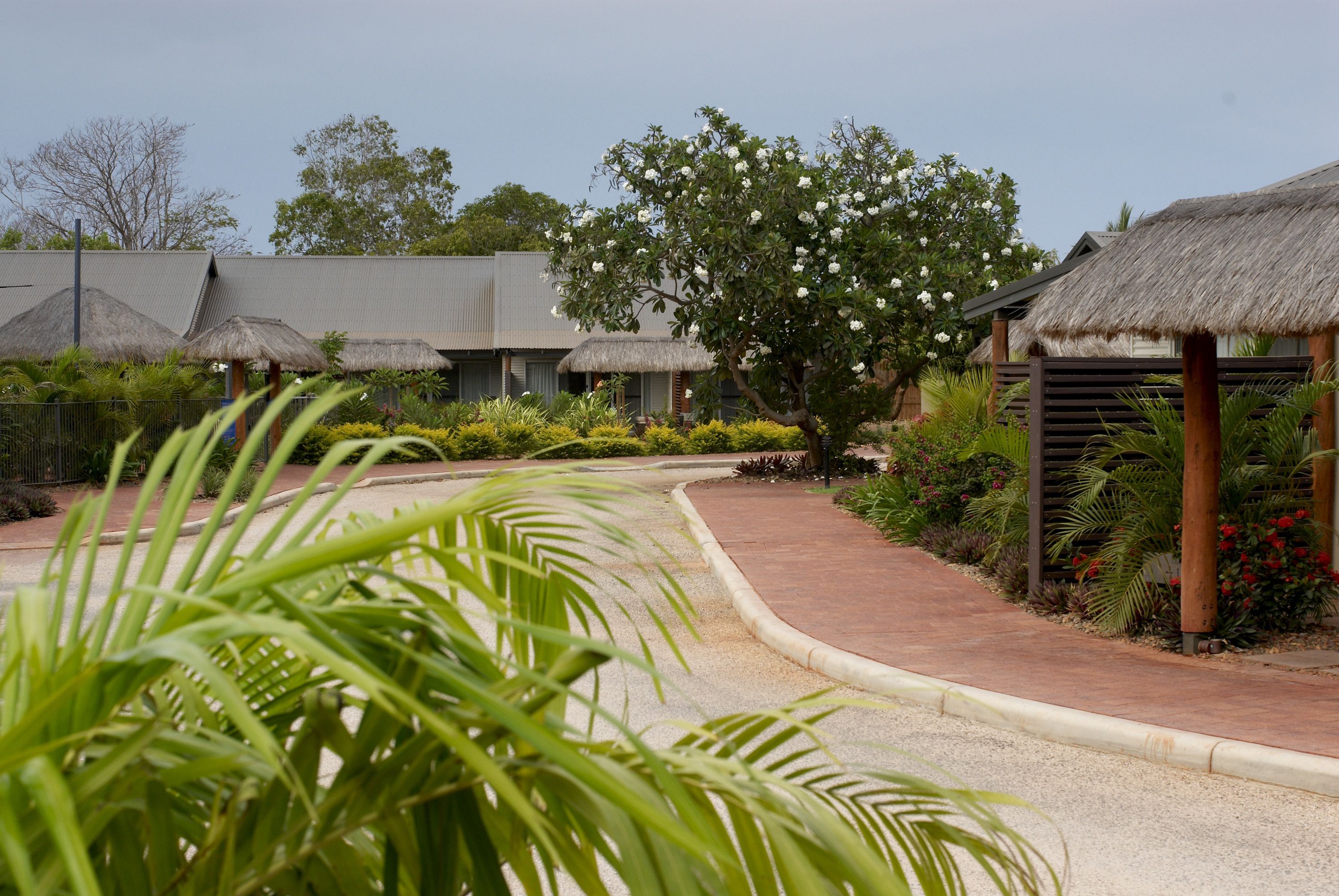 A resort with thatched-roof huts, a paved walkway, and lush greenery.