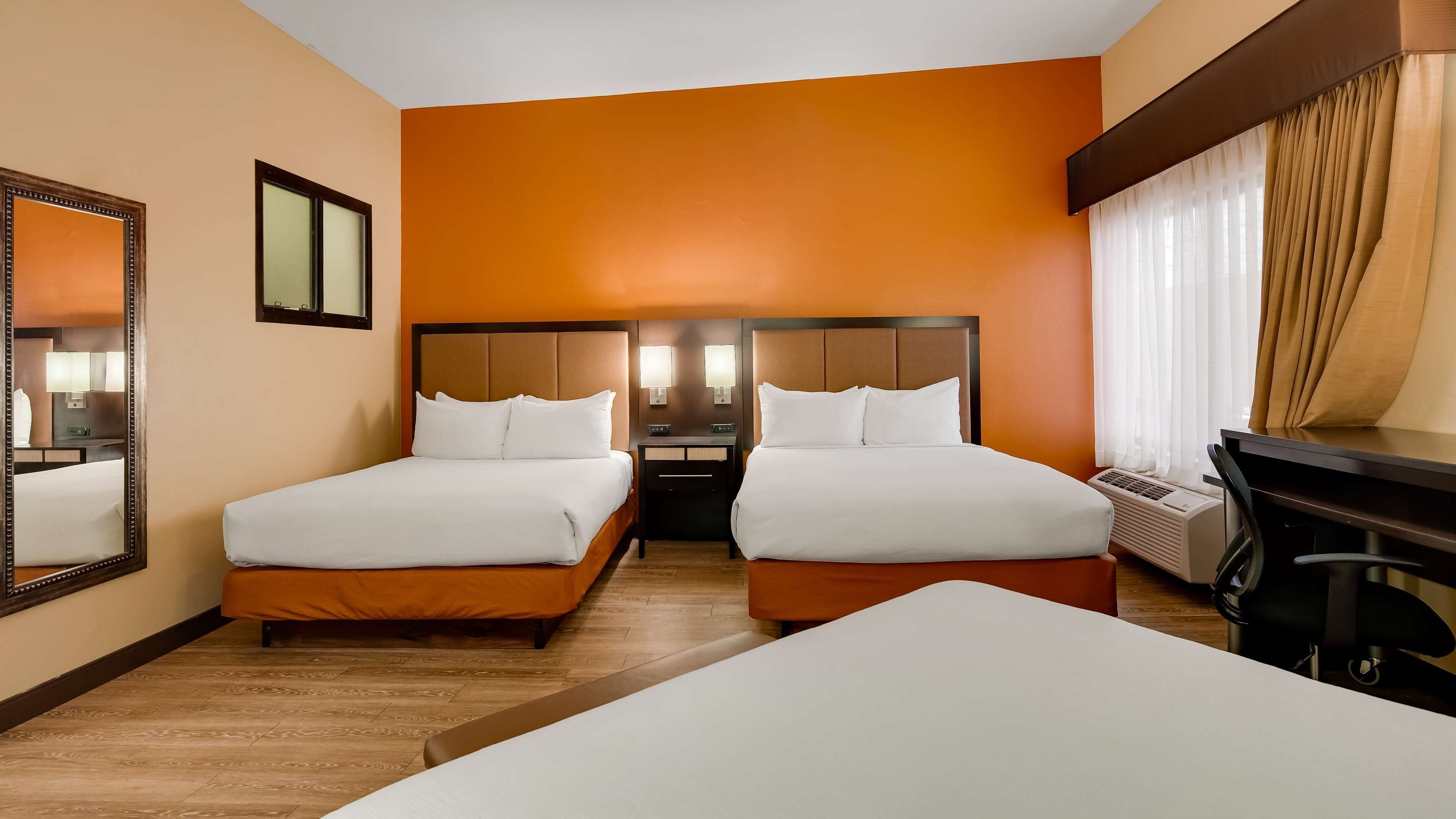 standard room, multiple beds, non smoking (walk-in shower) | hypo-allergenic bedding, down duvets, in-room safe, desk