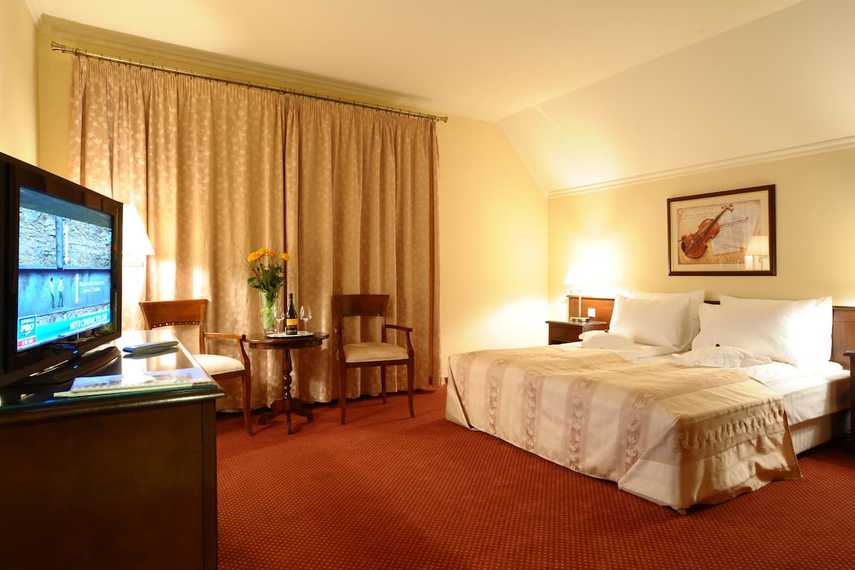 Superior Double or Twin Room | Minibar, soundproofing, free WiFi