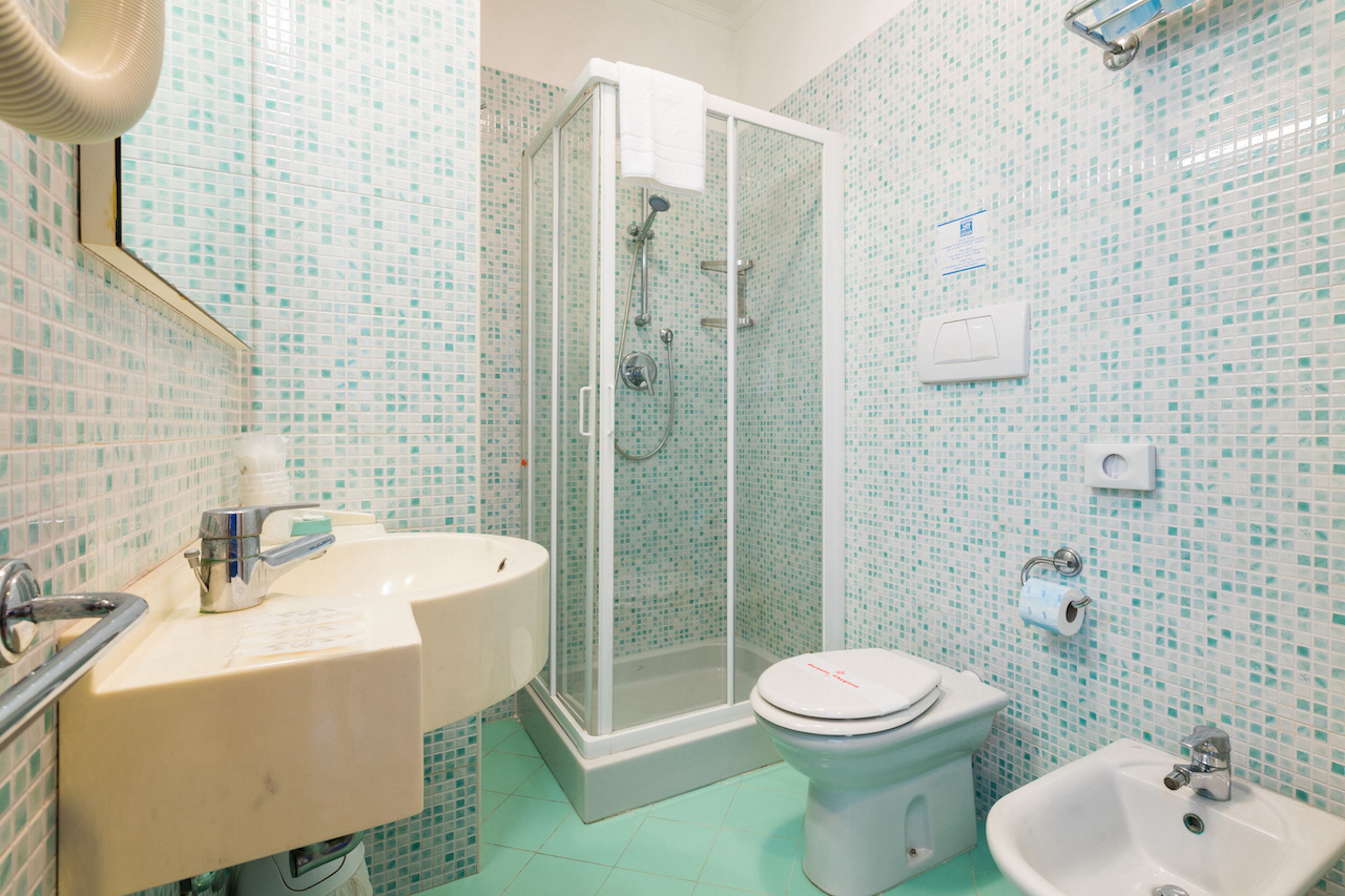 shower, free toiletries, hair dryer, bidet