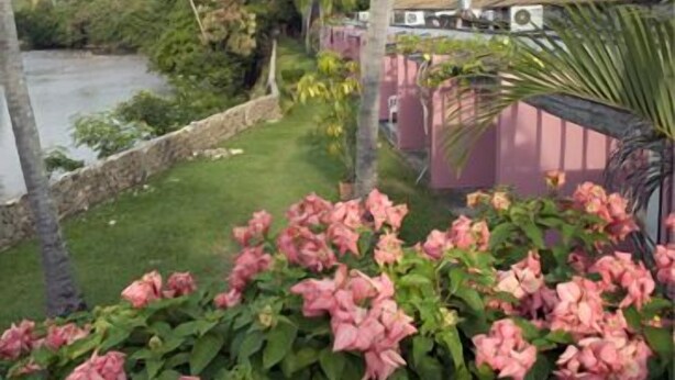 A view of a lush garden with pink flowers, a palm tree, and a river. - Hotel Guadaira Resort (Melgar)