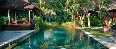 Outdoor pool, sun loungers