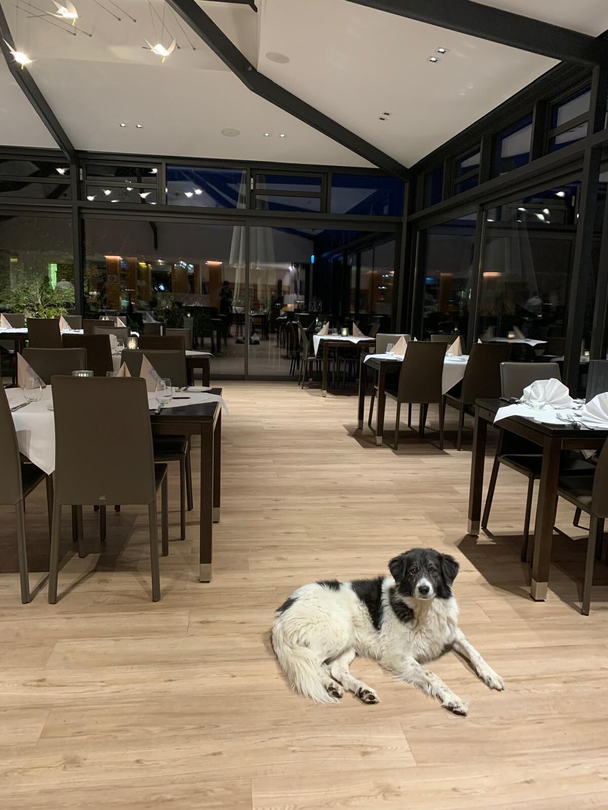 Een modern restaurantinterieur met houten vloeren, glazen scheidingswanden en gedekte tafels.