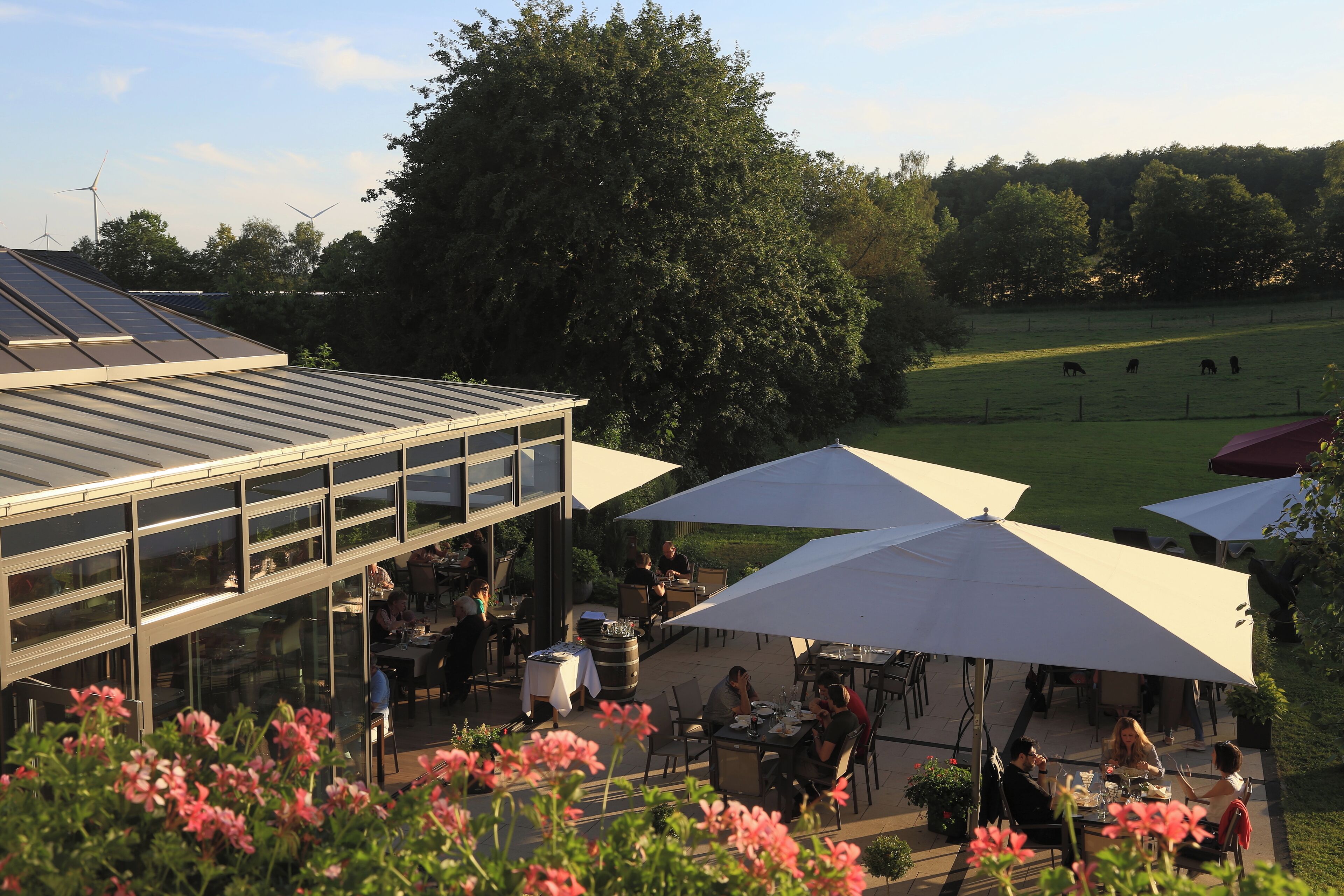 An outdoor dining area with tables and umbrellas, surrounded by greenery and a view of a field with cows.