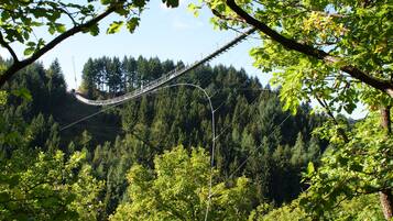 A suspension bridge in a forested area with dense trees and a clear sky.