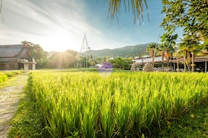 Property grounds - Naina Resort & Spa (Patong)