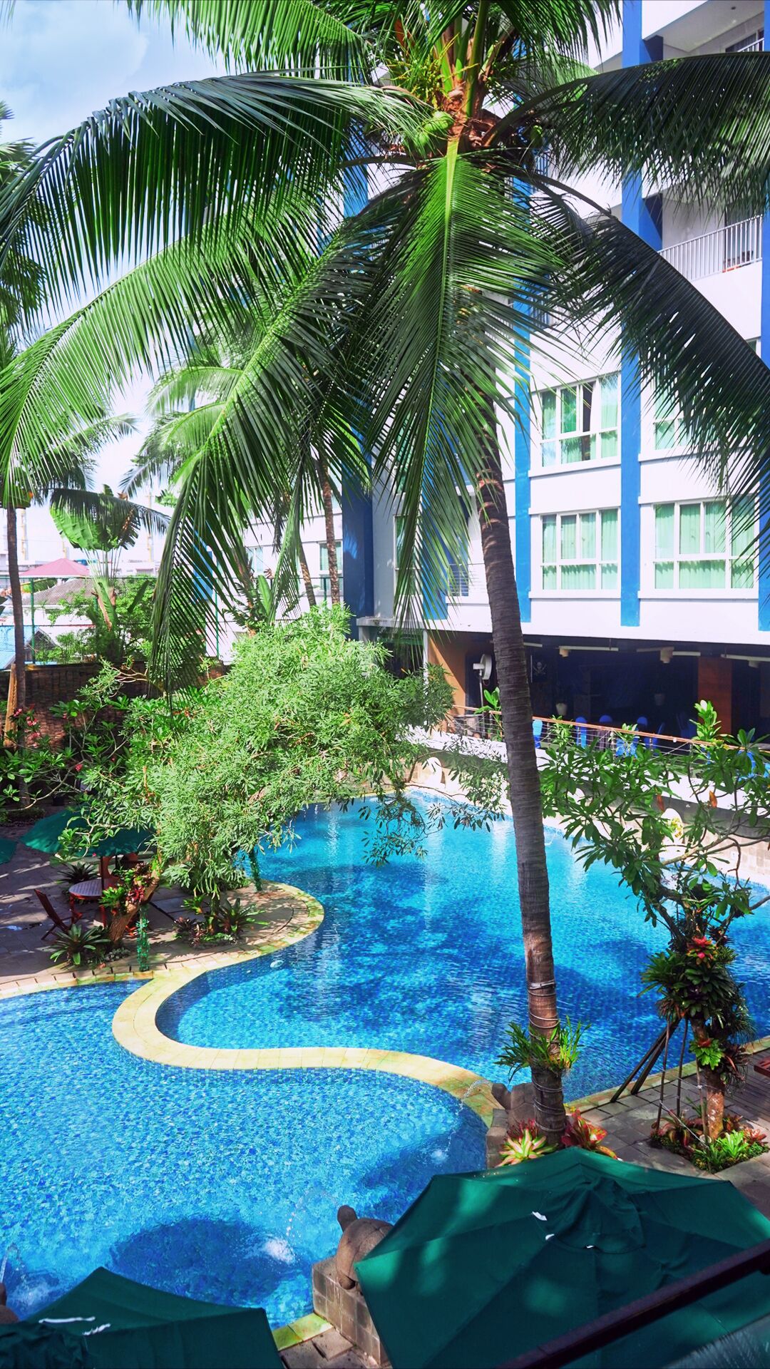A swimming pool with a curved design, surrounded by palm trees and greenery, with a building in the background.