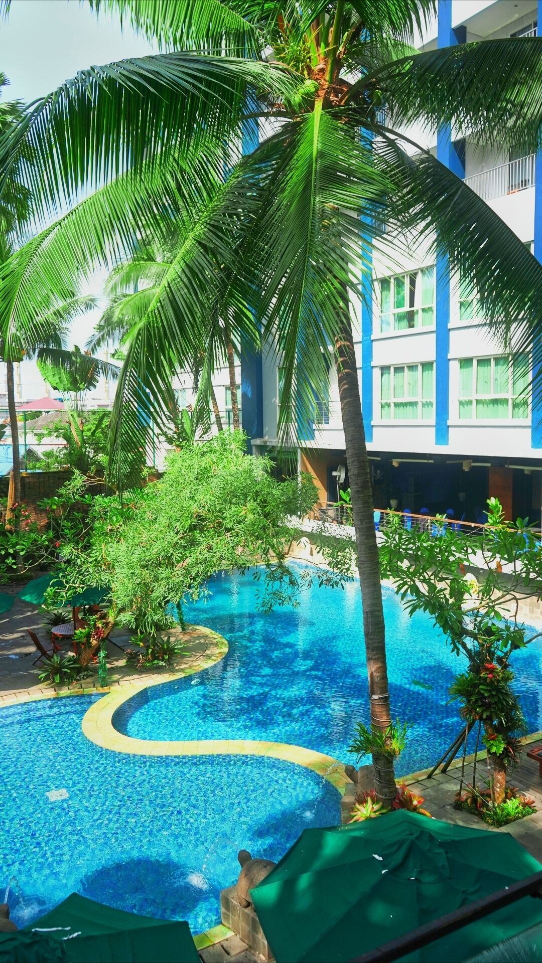 A swimming pool with a winding design, surrounded by palm trees and lush greenery.