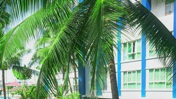 A swimming pool with a winding design, surrounded by palm trees and lush greenery.
