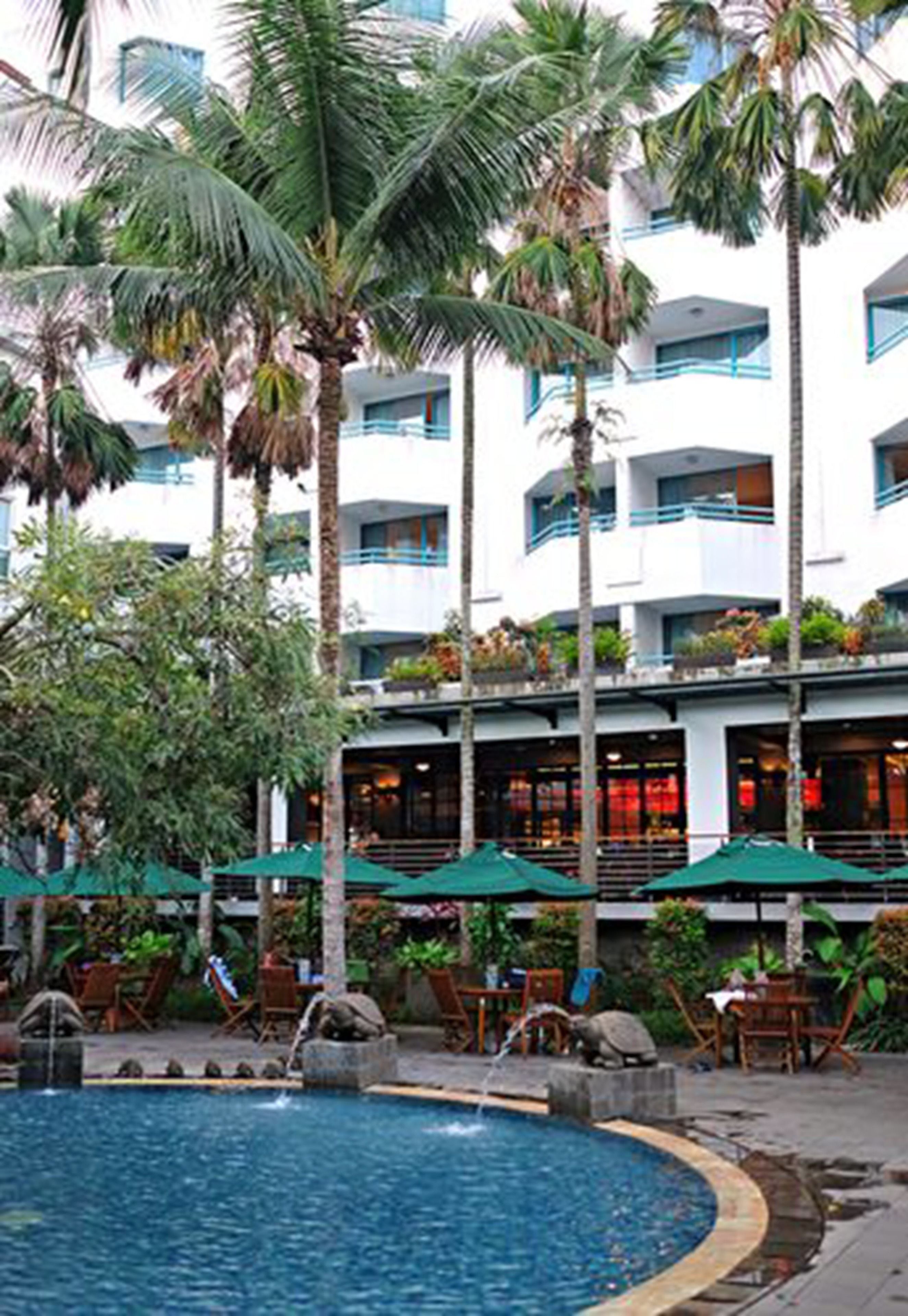 outdoor pool, pool loungers