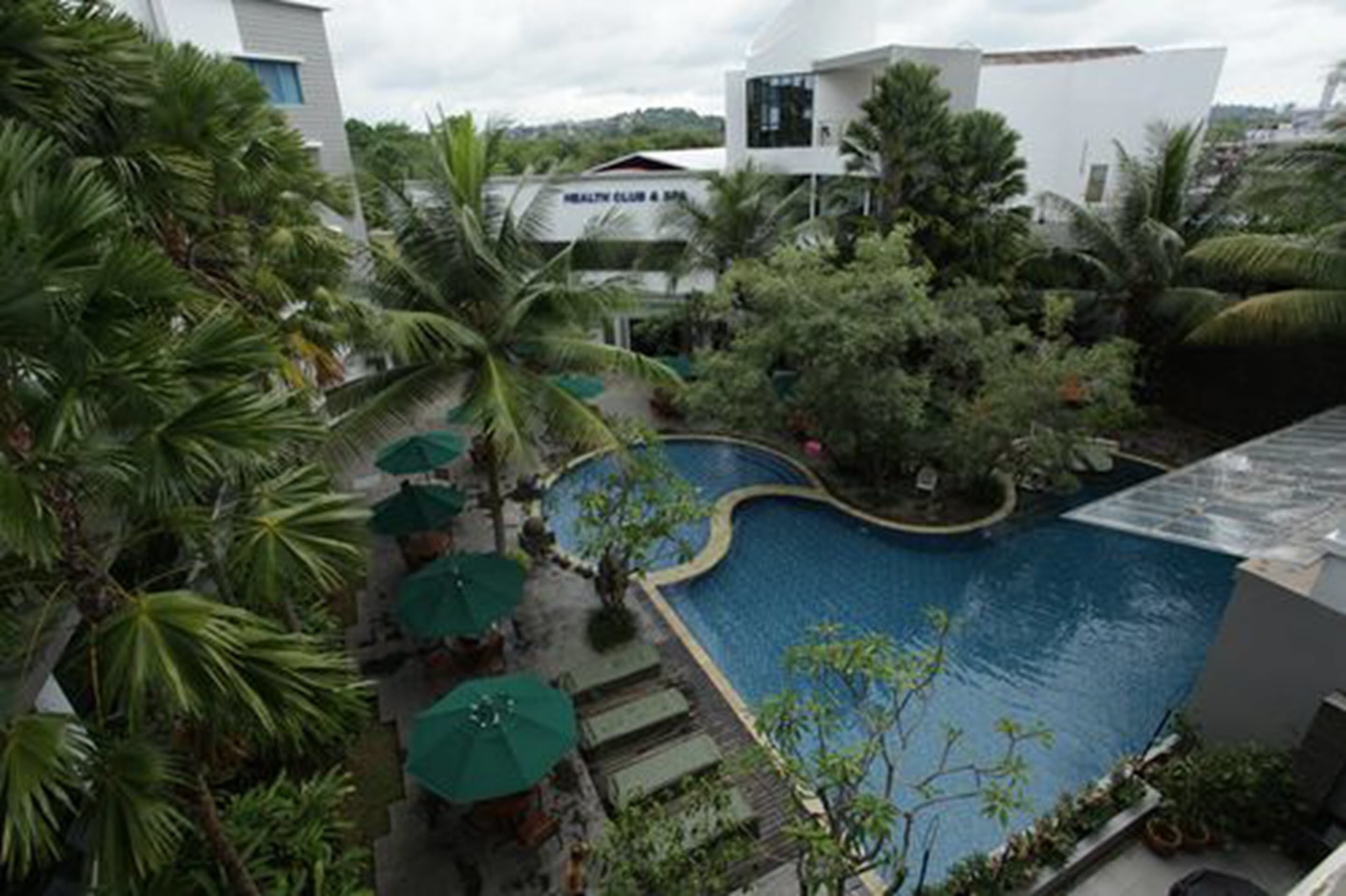 outdoor pool, pool loungers