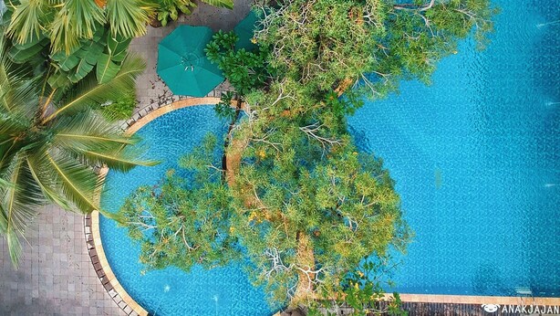 A circular pool surrounded by palm trees and a stone pathway. - Blue Sky Hotel (Balikpapan)