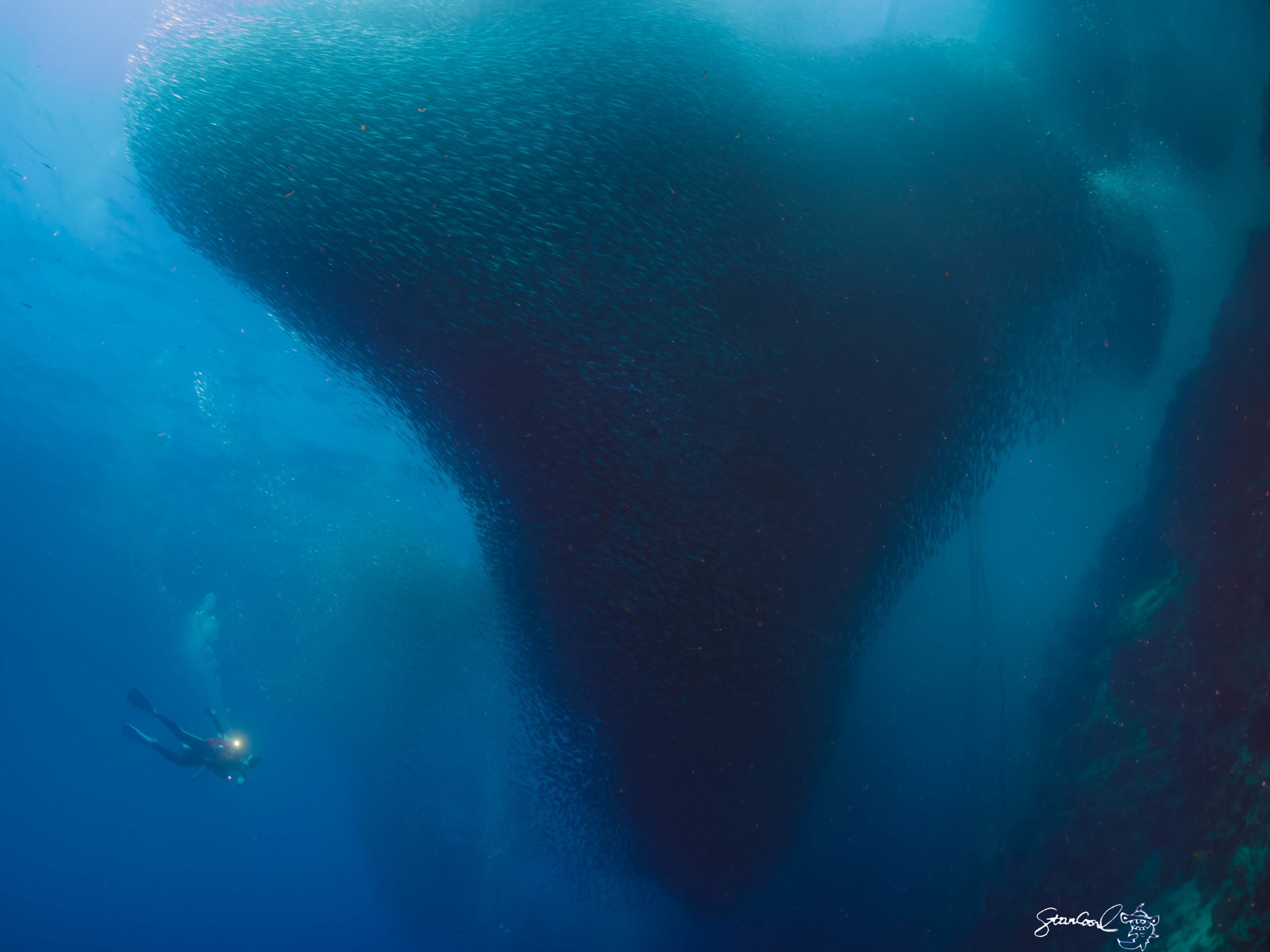 A diver underwater, surrounded by a large, dark, triangular rock formation.