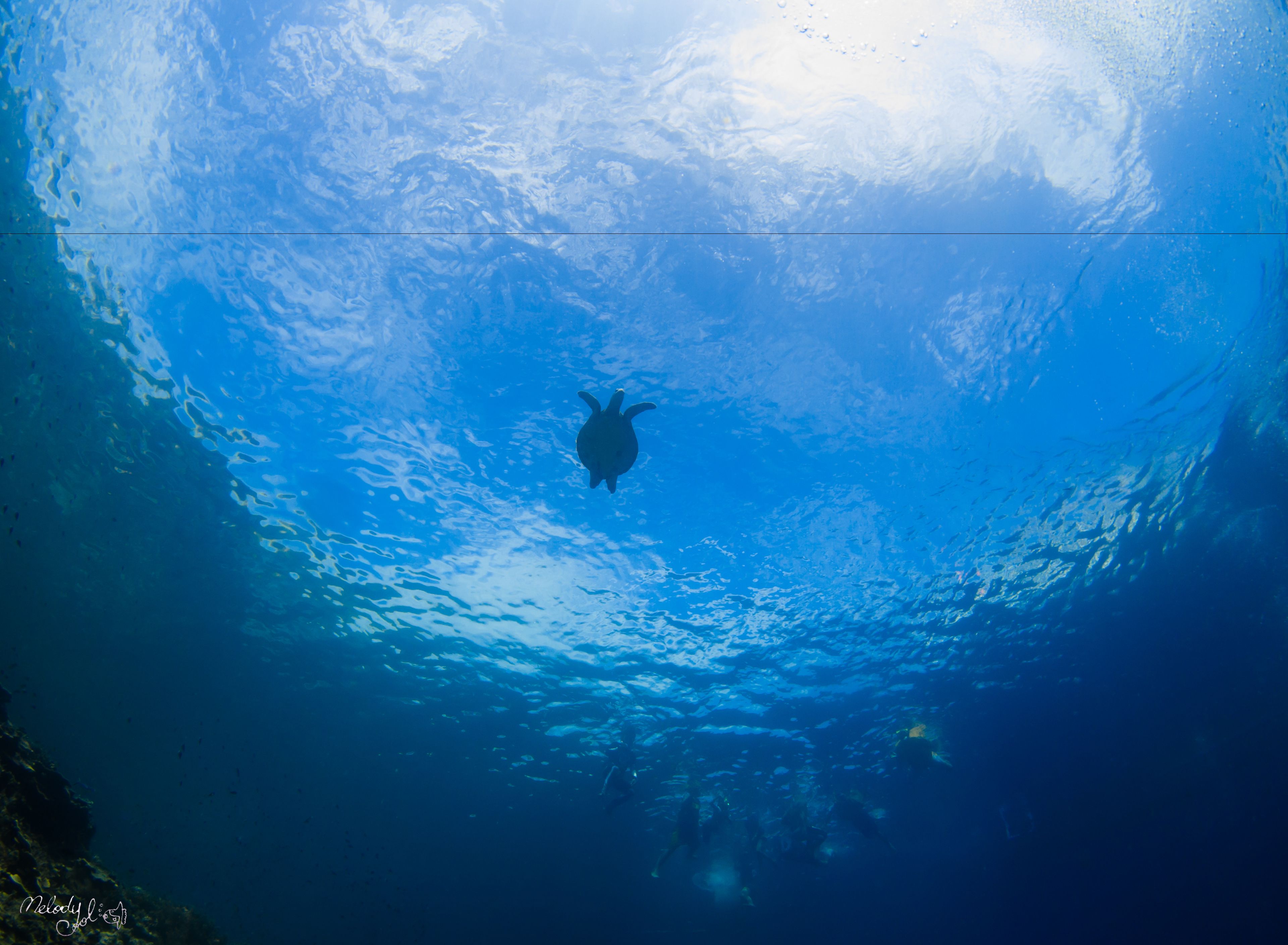 Onderwaterzicht van een helderblauw ocean met een zwemmende schildpad.