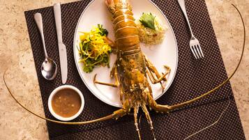 A lobster meal on a plate with a side salad and sauce, utensils, and a placemat.