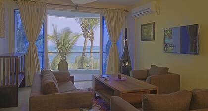 Cowrie Shell Beach Apartments