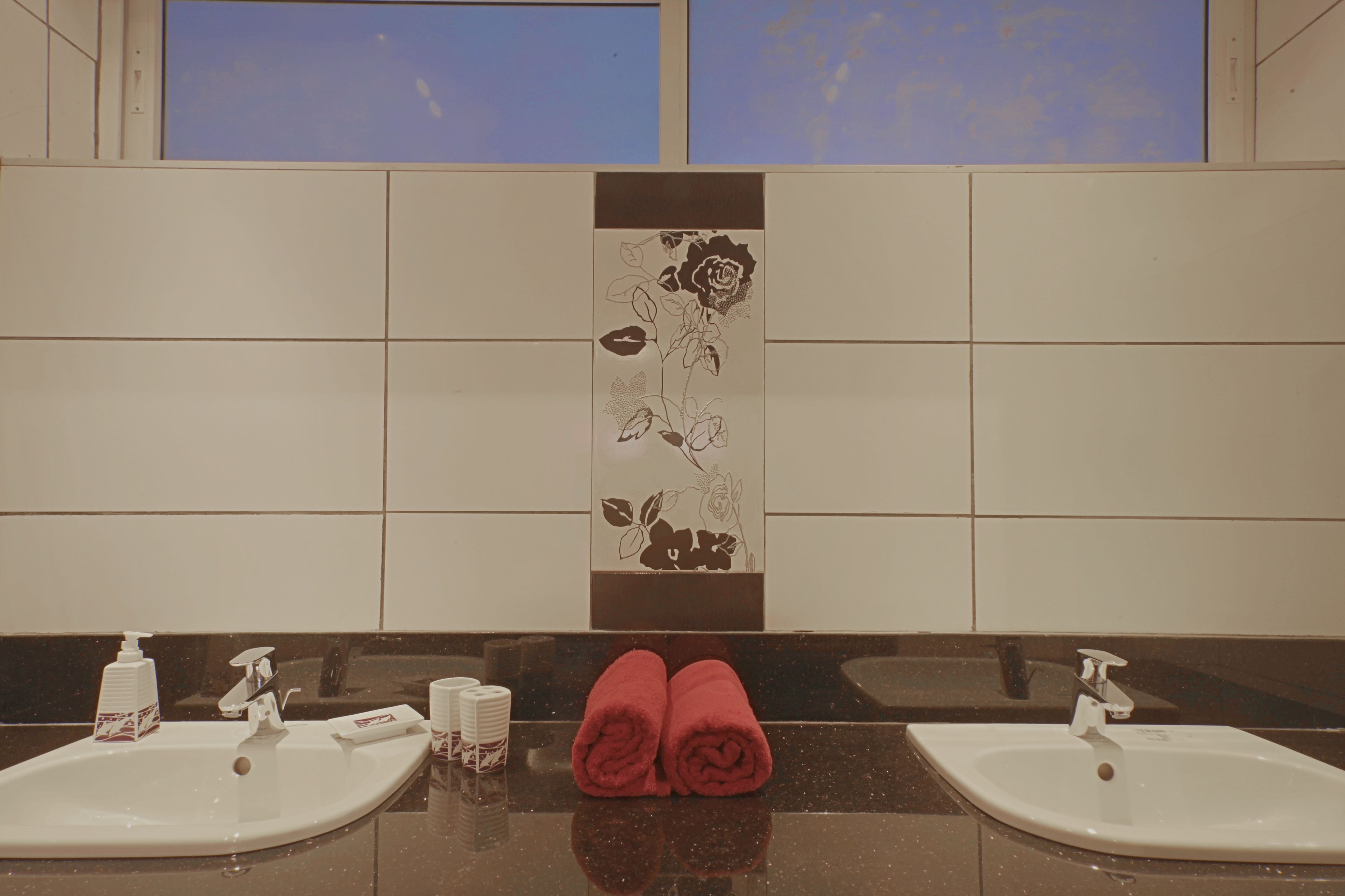 Ein Badezimmer mit zwei Waschbecken, einem Spiegel und dekorativen Blumenfliesen.