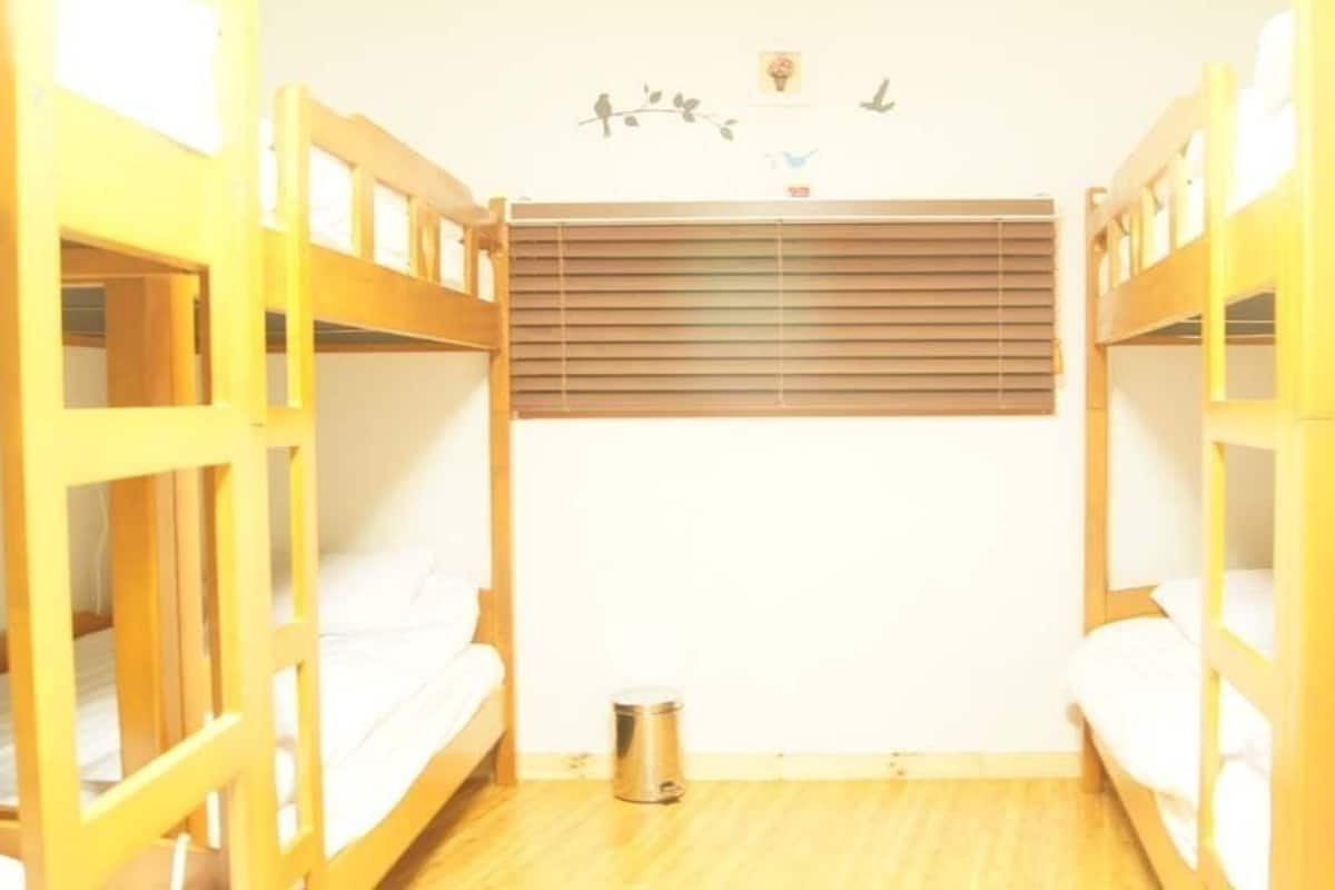 Shared Dormitory, Women only (6 beds) (Private shower booth & shared toilet) | Premium bedding, pillowtop beds, rollaway beds (surcharge), WiFi (free)