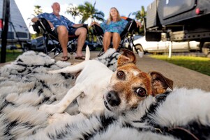 A dog lying on a fur rug with a vehicle and people in the background.