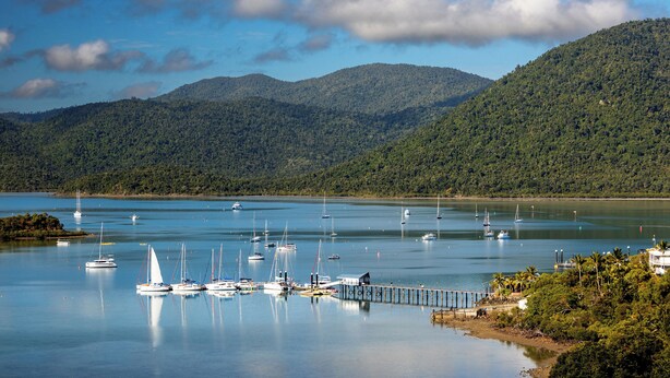 A marina with multiple sailboats docked, surrounded by lush green hills and a clear blue sky. - BIG4 Whitsunday Islands Holiday Park (Flametree)