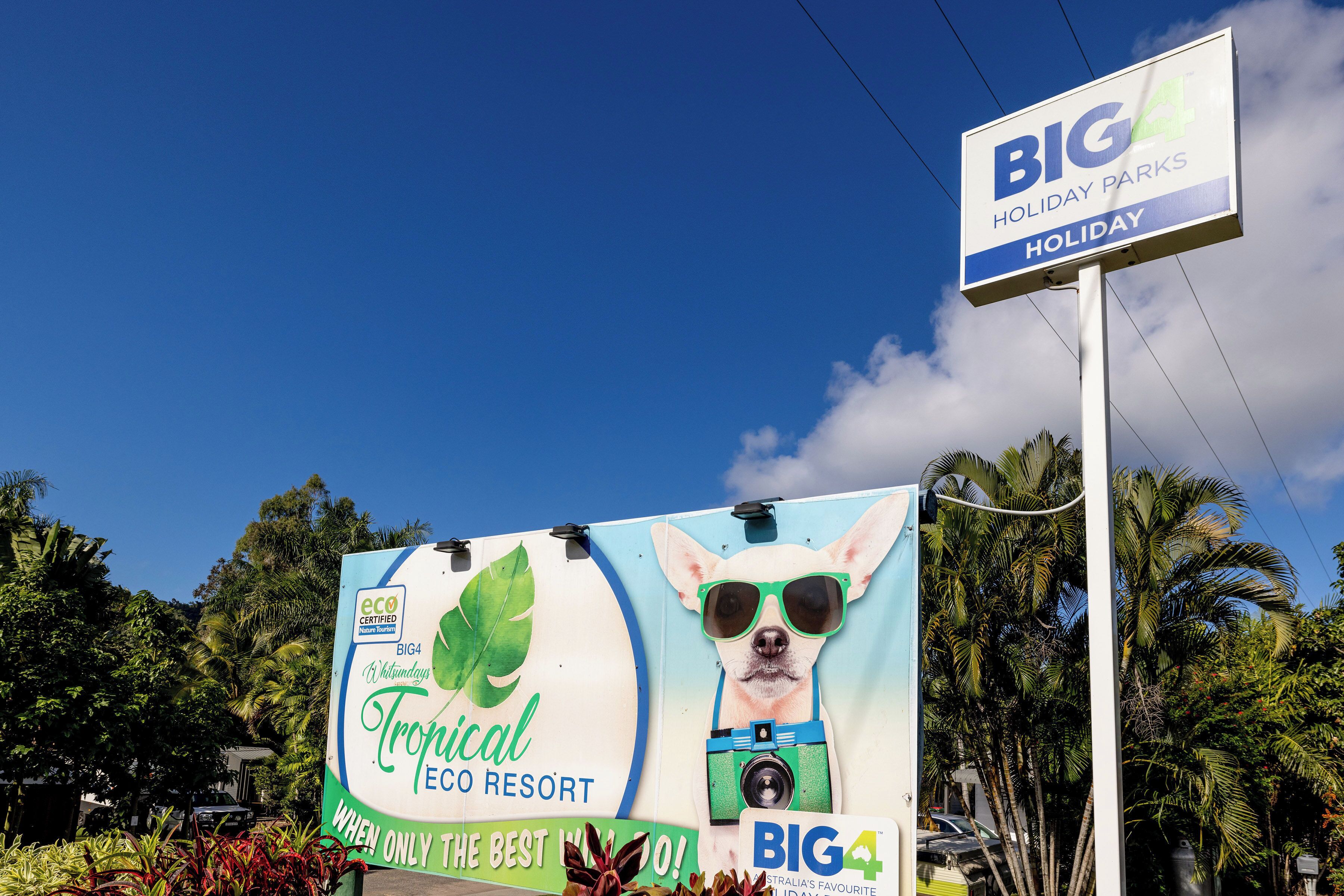 Anuncio de Tropical Eco Resort con un perro usando gafas de sol y una cámara.