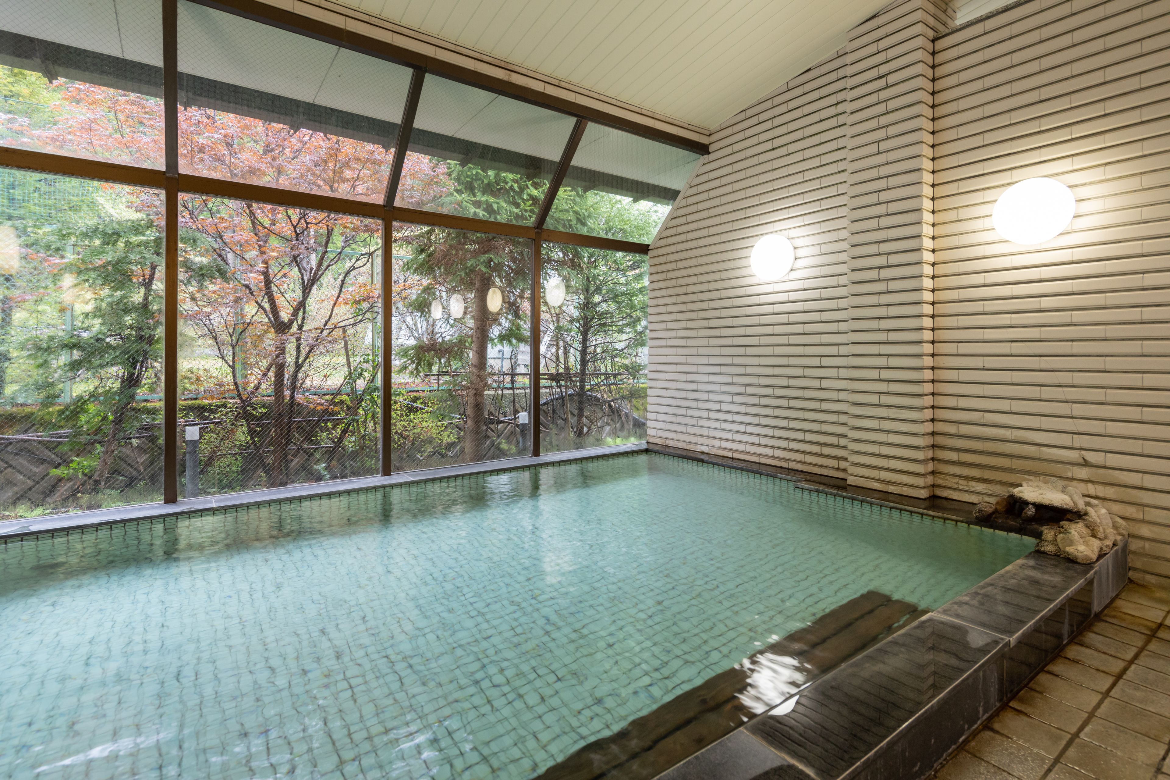 A swimming pool with a view of trees through large windows.
