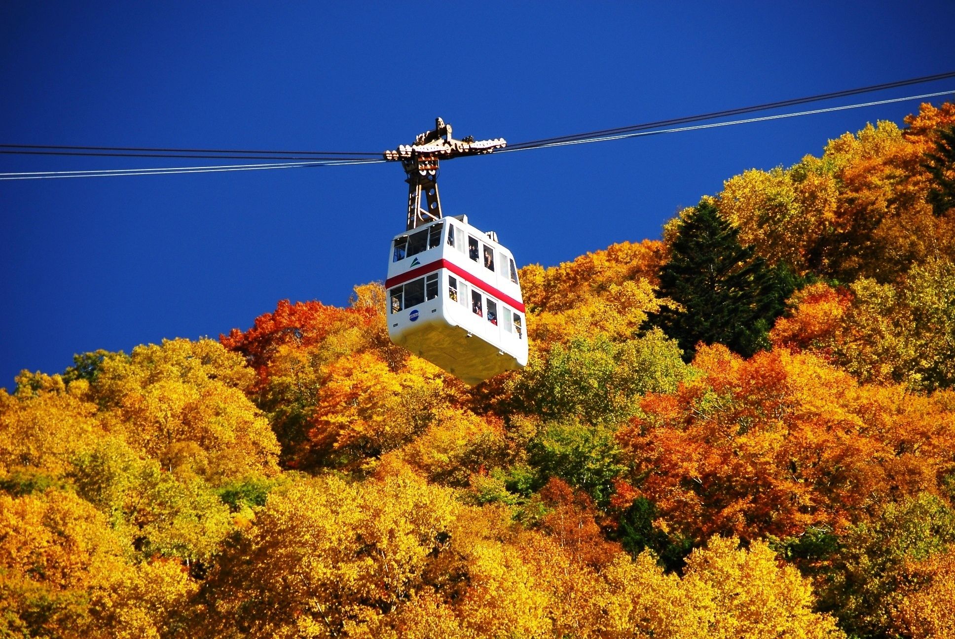 A cable car suspended over a forest with autumn foliage.