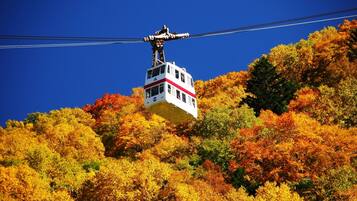 A cable car suspended over a forest with autumn foliage.