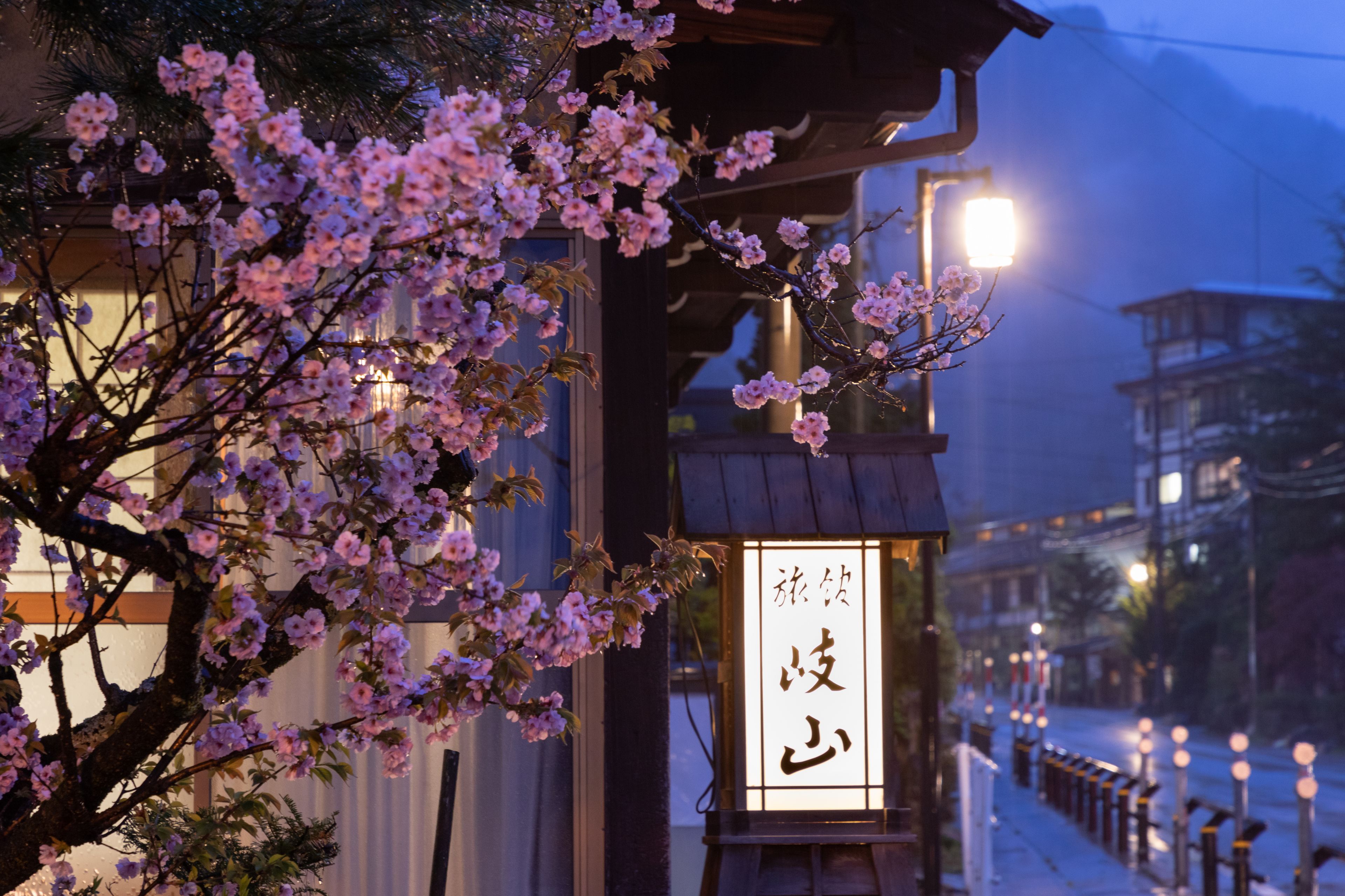 Un edificio japonés tradicional con un letrero y cerezos en flor al frente.