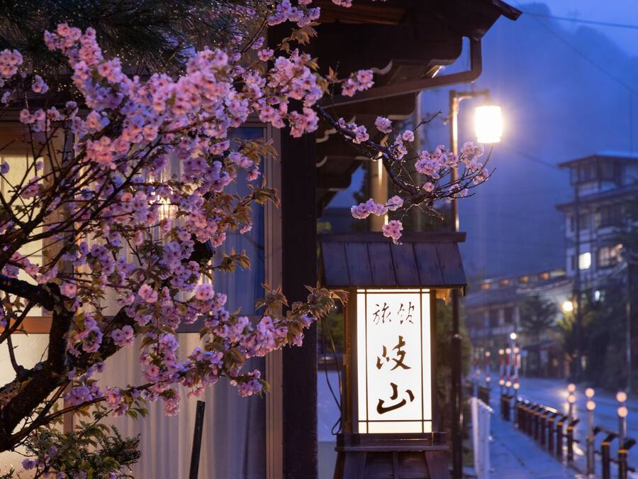 Un edificio japonés tradicional con un letrero y cerezos en flor al frente.