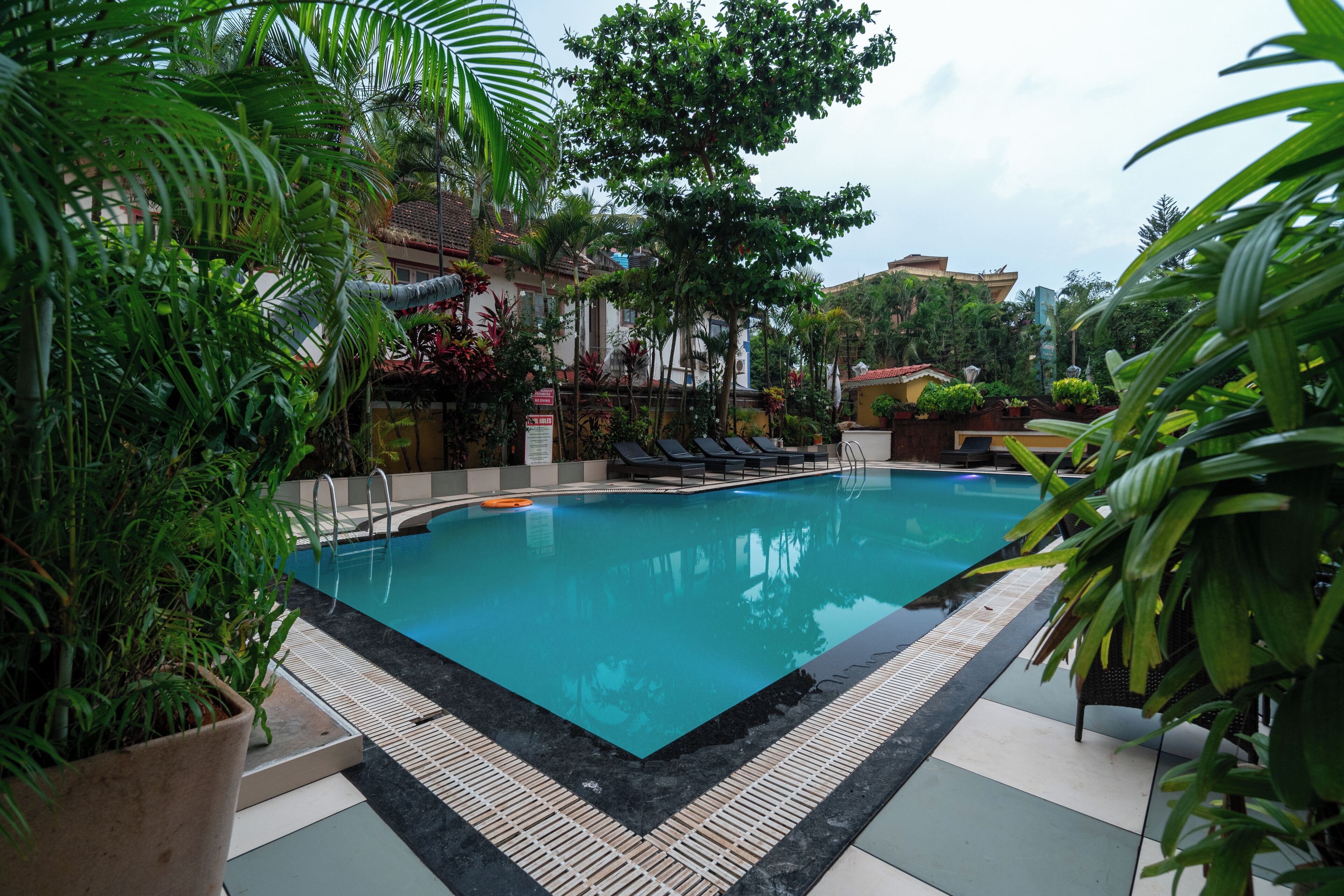 Una piscina al aire libre, sombrillas, sillones reclinables de piscina