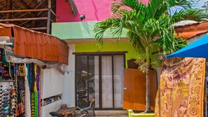 A hotel named KOOX City Garden Hotel with a colorful exterior, a bicycle parked outside, and a palm tree in the foreground. - Koox City Garden Hotel (Playa del Carmen)